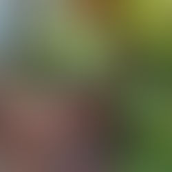 Slow Living Through the Seasons: How to Enjoy the Changing Seasons