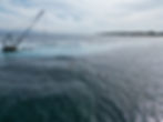 still shipwreck 3.JPG