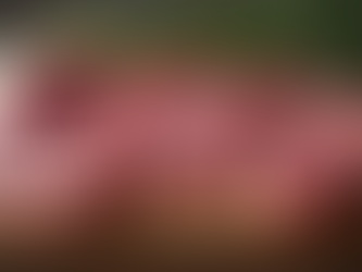 Fresh raw beef steak cuts on a wooden cutting board, including sirloin and rump, prepared by a local butcher for high-quality meat selection.