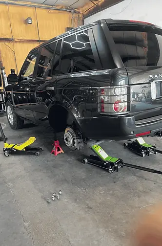 Untitled design (6).webp