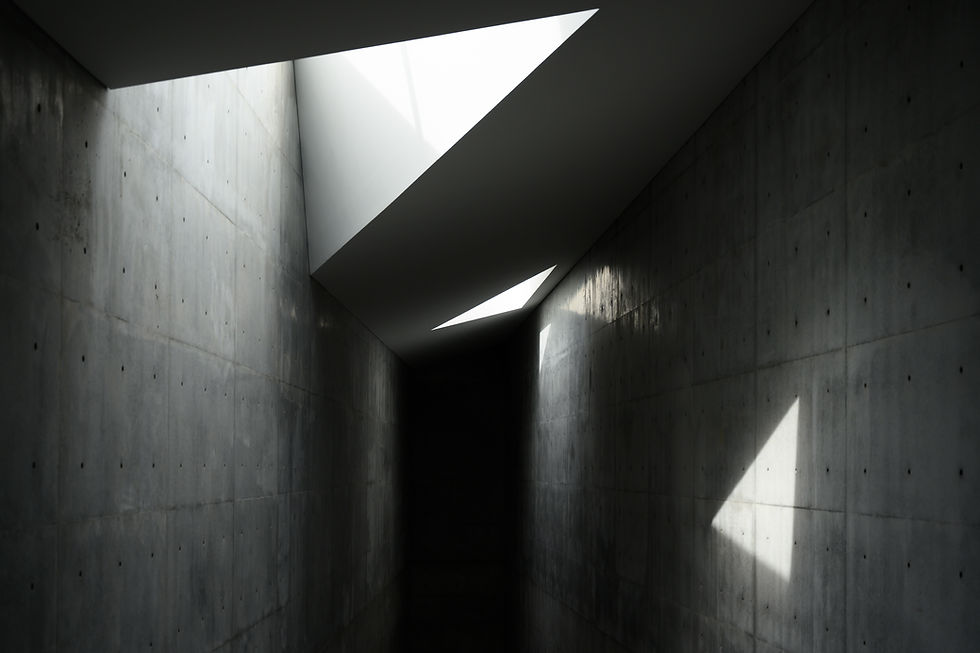 ARCHITECTURE >>