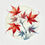 Miniatura: Acer Japonicum Dissectum vaso 24