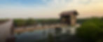__mangrove forest 3.jpg