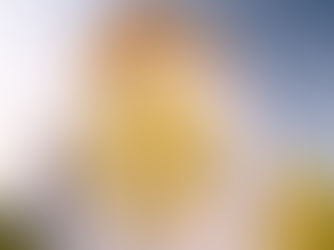 Esküvői filmek Hajdú-Biharban: Hol készülnek a legszebb felvételek Debrecen környékén?