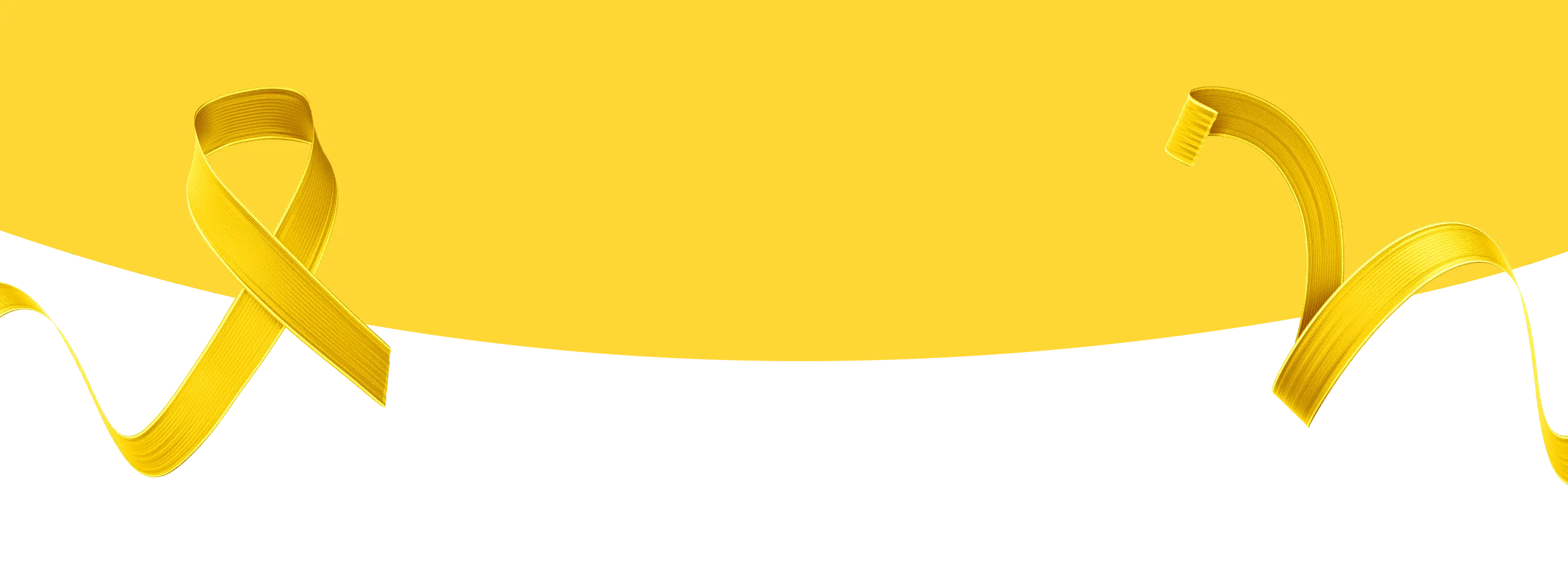 3bg-topo-scaled copiar.webp
