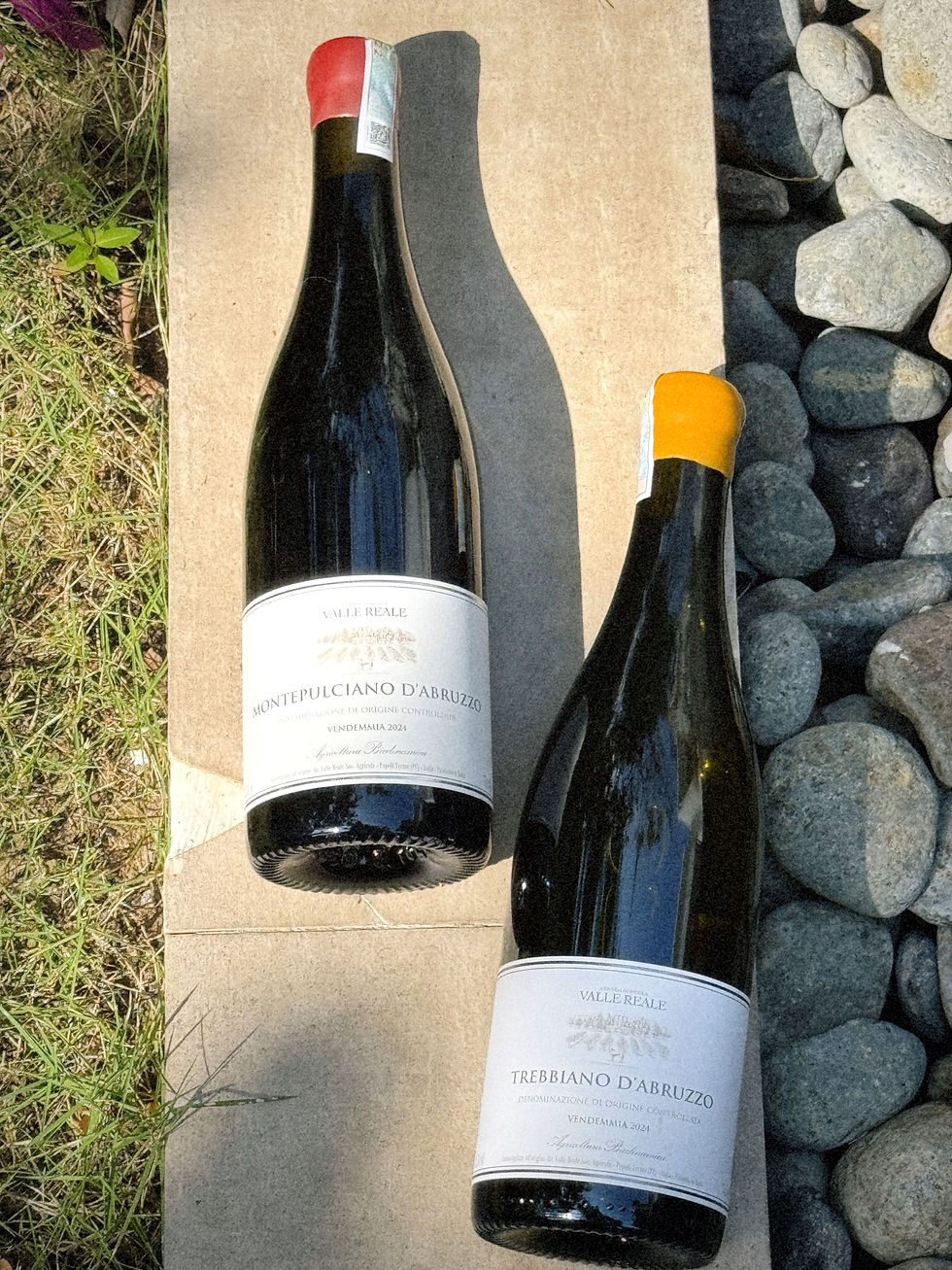 Valle Reale, Abruzzo: A Mountain Winery