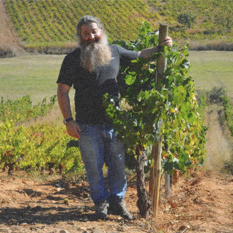 Raúl Pérez: The Adventurer Among Old Vines
