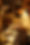 DSC07720.JPG