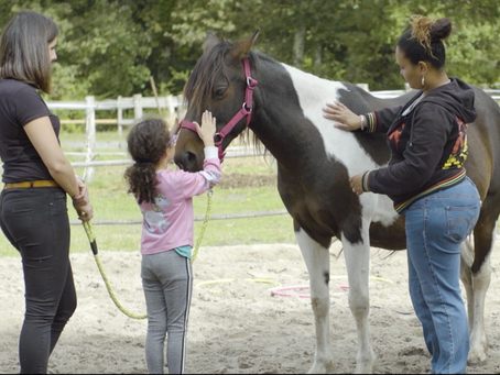 DOCUMENTAIRE VIDEO : Les effets de l'Equithérapie sur la relation parent - enfant