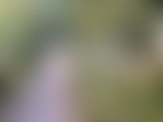 Aosta Alta Via, Day 26: Last day