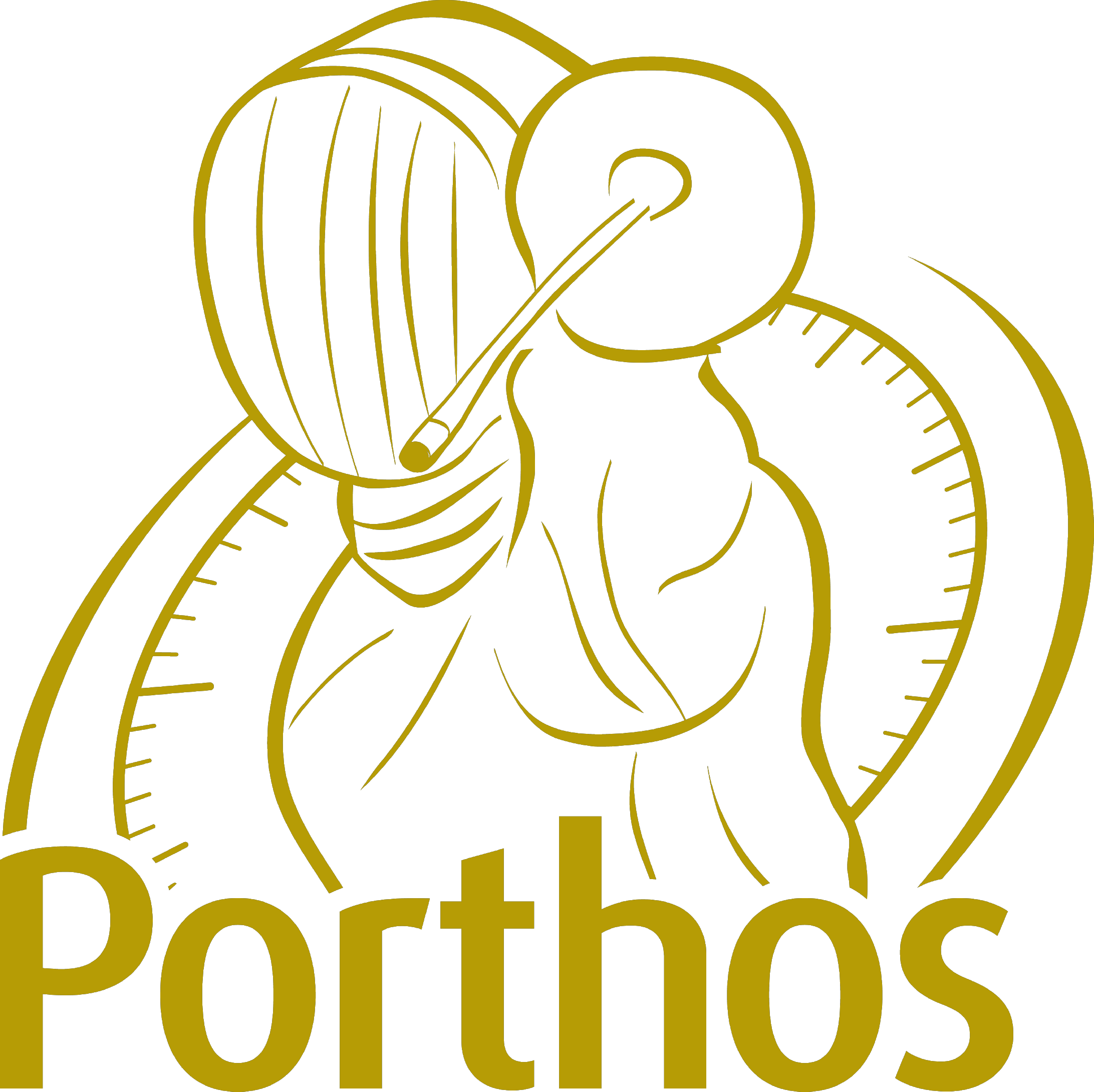 Logo-Porthos-or.gif