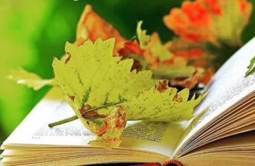 Без названия.png