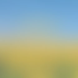 8月です🌻