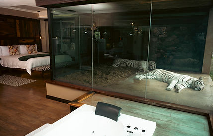 Shekinah Signature Weekend Package