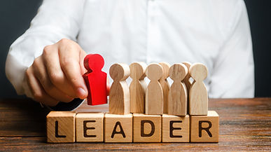 The Leadership Development Programme – Core Soft Skills