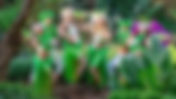 Book our Dancers | Bookings for Professional Dance Performers