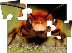 Projekt PUZZLE