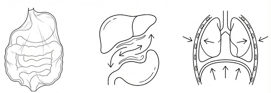 円命堂倉敷店の内臓を包む膜の緊張の解説