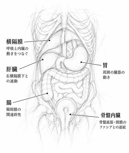 4f4bd0b9-40e2-4c44-b29a-1b4f62695b32.png