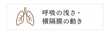 呼吸の浅さ・横隔膜の動き