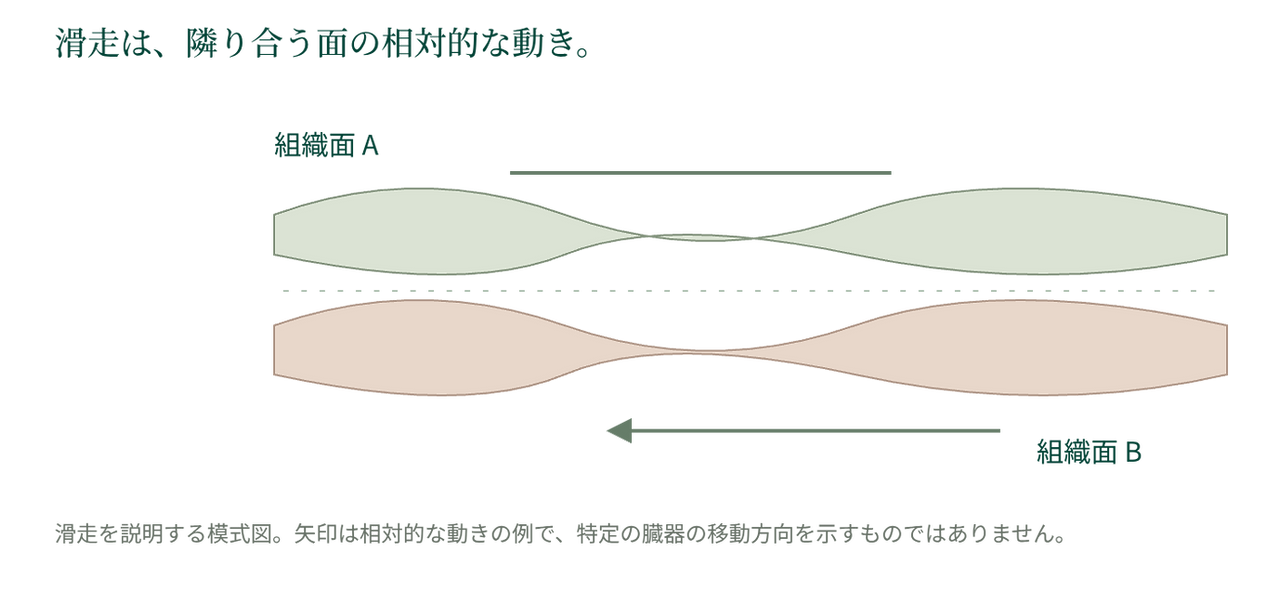 ダウンロード (34).png