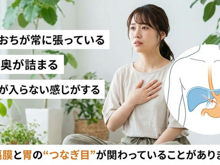 胸の下が詰まる感じが続くとき：胃噴門と横隔膜の関係
