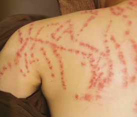 倉敷なおる整体