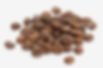 Robusta Indie Cherry