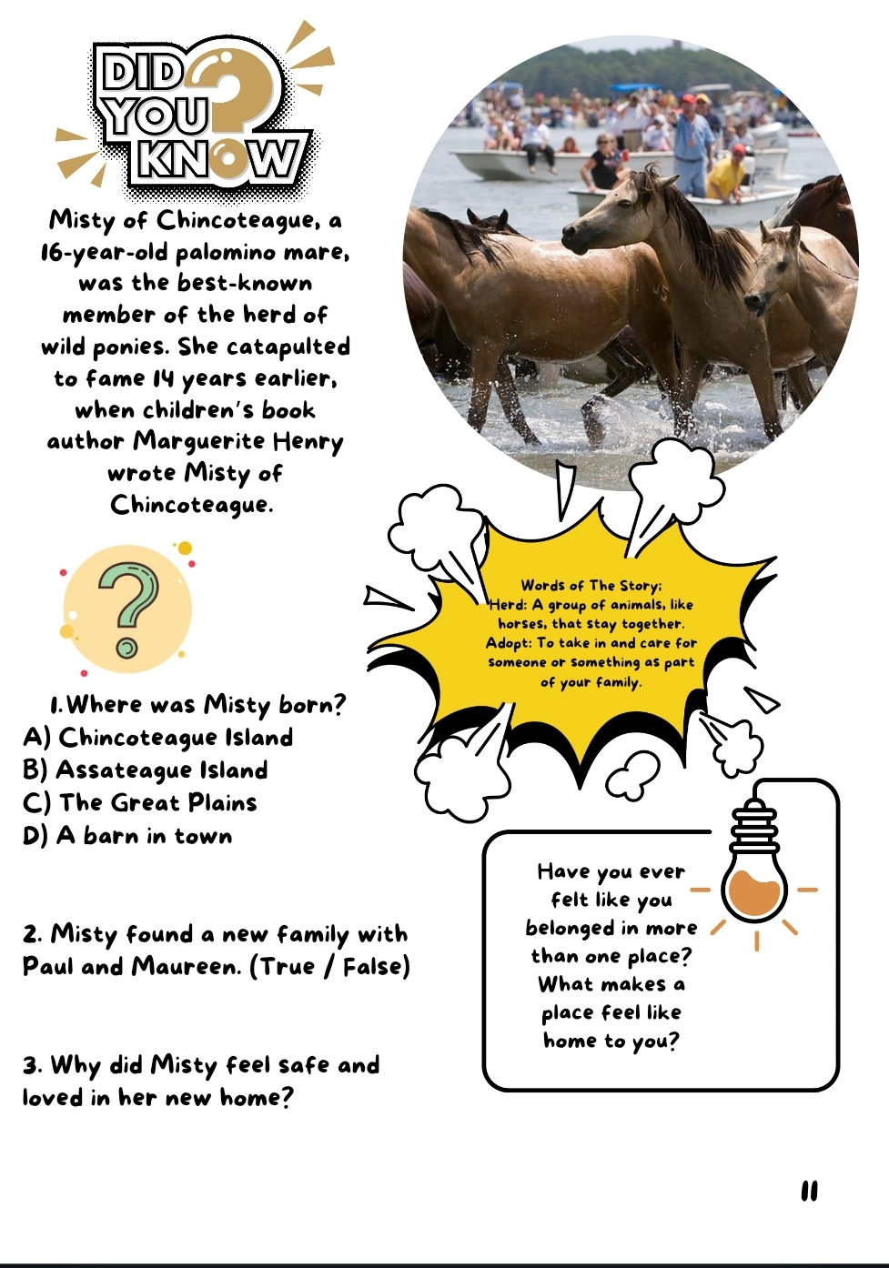 Thumbnail: Young Equestrians Academy Modules