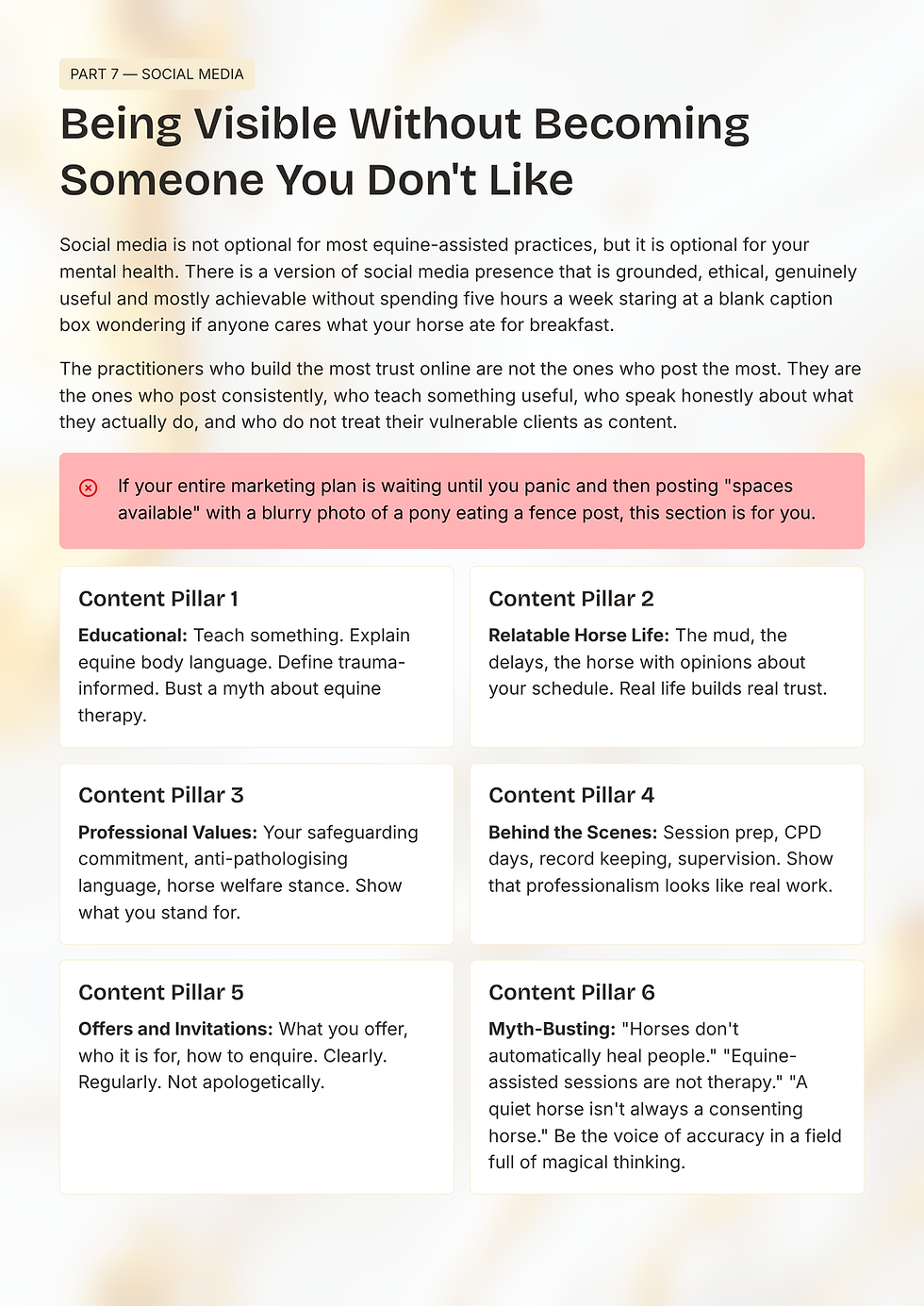 Thumbnail: Practitioner Policy & Confidence Bundle
