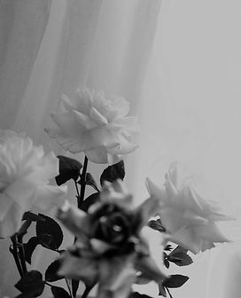 IMG_2592.PNG