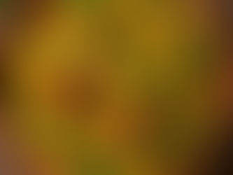 Veg Biryani Recipe (Serves 3–4)