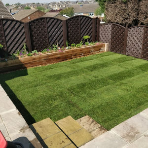 Lawn Care and Maintenance