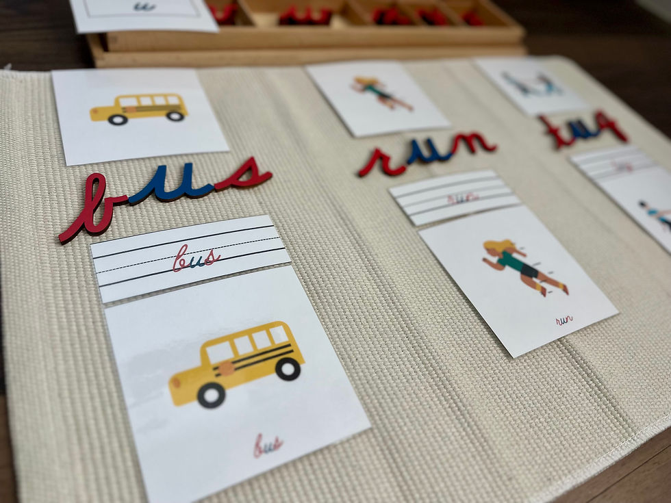 Thumbnail: Short Vowel 3 Part Cards "u" in cursive
