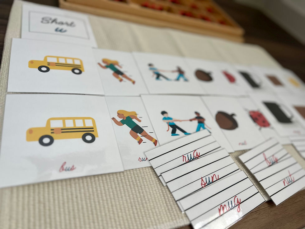 Short Vowel 3 Part Cards "u" in cursive