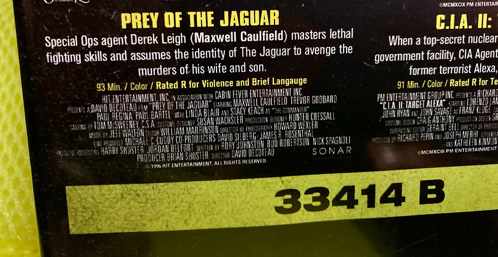 This synopsis is... basically right.