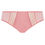 Thumbnail: Matilda - Brief Rose