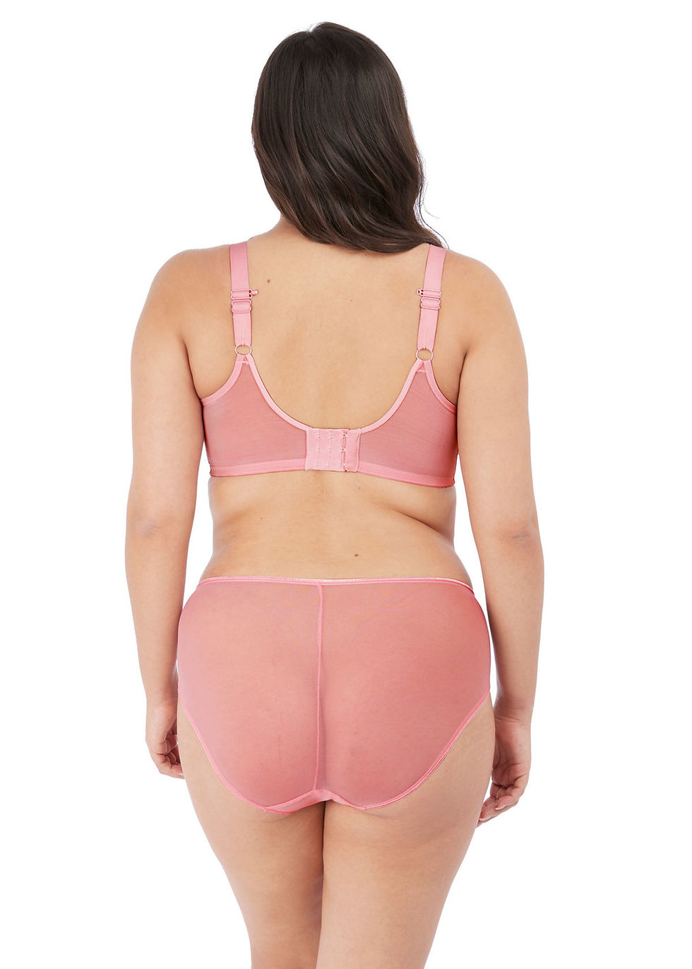Thumbnail: Matilda - Brief Rose