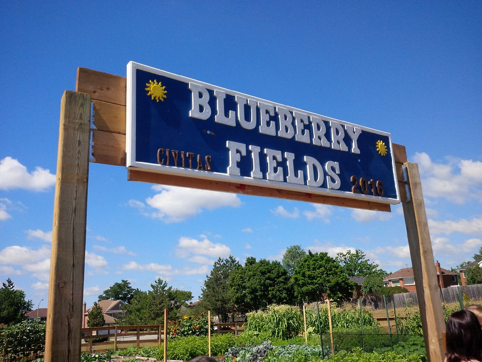 HSH Community Garden is 10