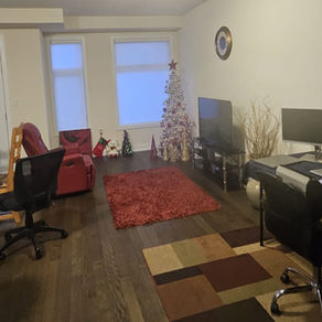 Two HSH families 'home for the holidays' thanks to ARGO