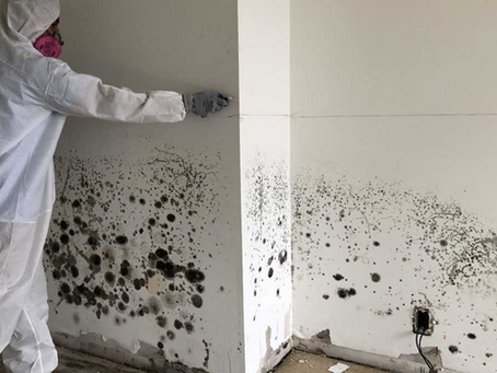 How Mold Removal Improves Indoor Air Quality