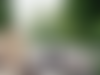 Why Delaying Roof Repair Can Lead to Bigger Problems