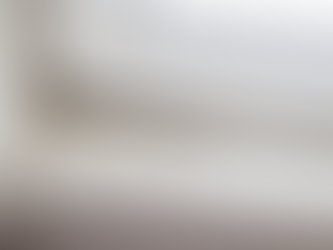 Why Mold Removal Should Be Part of Comprehensive Property Maintenance