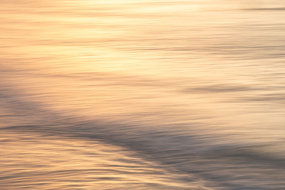 Shutter Speed, ISO and Aperture: What you need to know