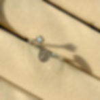 Drop Ring