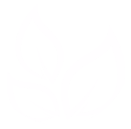 Blaetter-1.png