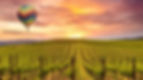 vineyardBG.jpg