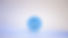 DSC09474.jpg