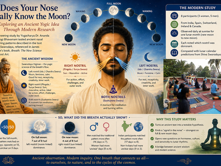 https://www.researchgate.net/publication/241276730_A_scientific_analysis_of_the_nasal_cycle_and_its_applications