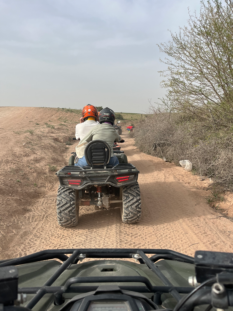 4-Wheeling in the Desert